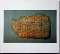 まほろば野の仏　第１集　灰谷岳乗拓画集　（信貴山成福院院代）