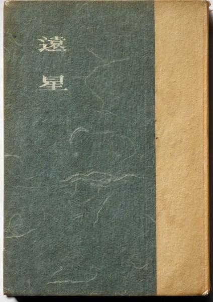 低価格販売 山口誓子短冊 遠き世の 山口誓子 和書 - LITTLEHEROESDENTISTRY