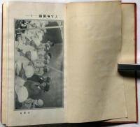 ベンチコーチ篇　誠文堂野球叢書第12巻