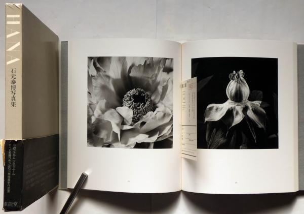 花 YASUHIRO ISHIMOTO(石元泰博 : 撮影) / 古本、中古本、古書籍