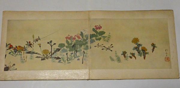 抱一花鳥四季絵巻 酒井抱一画 水野武編輯 斜陽館 古本 中古本 古書籍の通販は 日本の古本屋 日本の古本屋