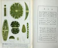 植物の驚異　科学画報増刊