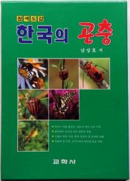 韓国昆虫図鑑　ハングル