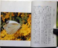 蝶の四季　追いつめられる蝶 /　昆虫ノート　2冊