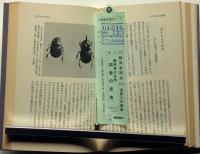 静岡県の自然　四季の昆虫