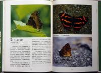 臺灣的蝴蝶世界　中文　台湾自然大系９