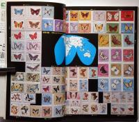 日本の蝶・世界の蝶　自然界の不思議に踏み入る　産報デラックス９９の謎