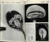 科学の実験 臨時増刊 1974/7　通巻317号　接写の世界-そのシステムとテクニック