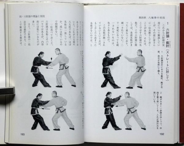 八極拳 秘伝にせまる(青木嘉教 ) / 古本、中古本、古書籍の通販は