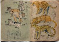 少年少女科学絵本　けもの　昭和23年