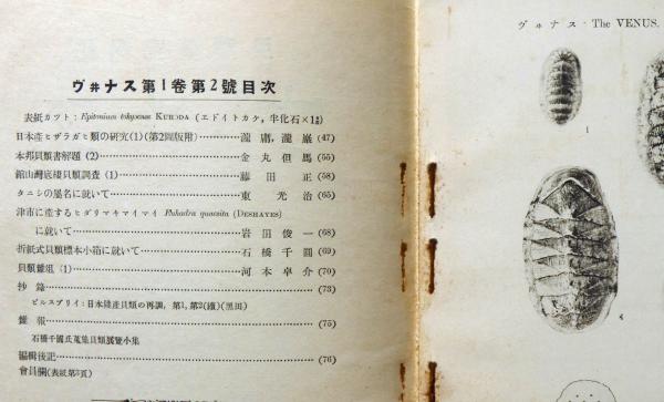 △01)【同梱不可】【希少資料】貝類学雑誌 VENUS/ヴイナス