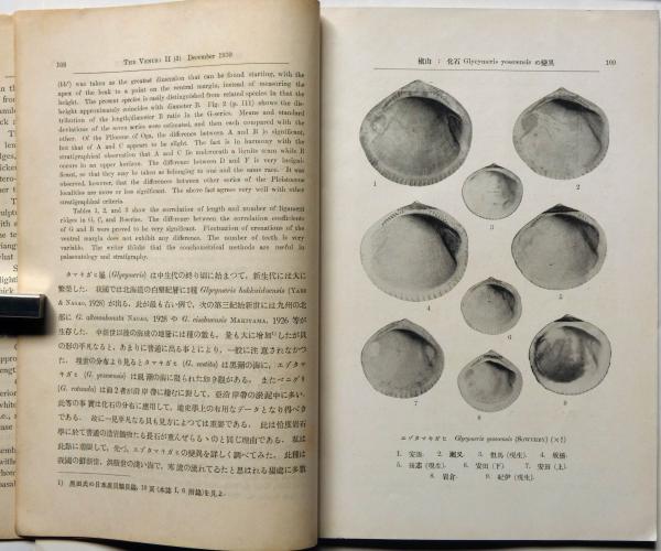 貝類学雑誌 ヴィナス（VENUS）創刊号、2号、2巻3号、3巻3号、4号
