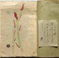 童爺豊　灰画帖　彩色水彩画13図入り