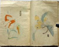 童爺豊　灰画帖　彩色水彩画13図入り