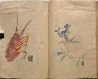 童爺豊　灰画帖　彩色水彩画13図入り
