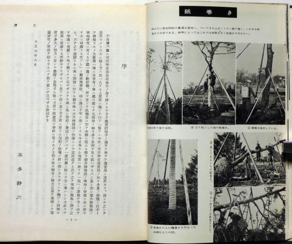 樹木の移植と根廻 ＜樹芸学叢書 ; 第2＞(上原敬二) / 古本、中古本、古書籍の通販は「日本の古本屋」 / 日本の古本屋