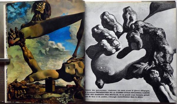 希少 サルバドール・ダリ DALI 洋書 画集 保存状態良好 定価約3万円 希少 サルバドール・ダリ DALI 洋書 画集 保存状態良好 定価約3