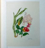 小磯良平石版画作品集