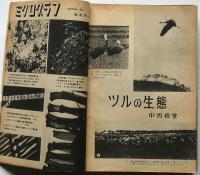 科学の実験　第3巻1号～12号　12冊　昭和27年・揃