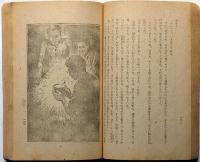 大南島　終戦間際の南方小説