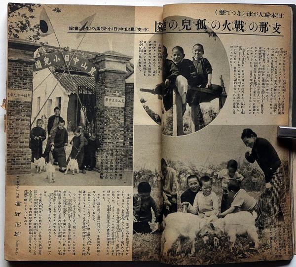 債権法/自由国民社/谷口知平