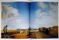 サルバドール・ダリ Salvador Dali 1904－1989 狂気と天才