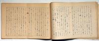 梁雅子草稿　「はらわたの記/赤パイプ」二編　ペン書　400字　67枚×67枚