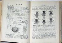 小学生の理科の図書館　昆虫・科学・自動車ほか