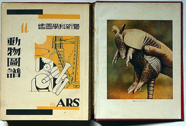 動物表現の系譜〈図録〉 動物表現の系譜〈図録〉 (shin