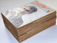 スイング・ジャーナル　昭和39年1月～10月　10冊
