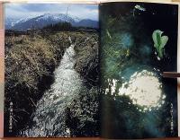 山みちで花に逢う日は　川口邦雄画文集