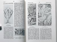 Bilder-Lexikon. 　ビルダー・レキシコン 本編8巻＋補足巻2巻・全10巻　（絵入性風俗事典） 限定版
