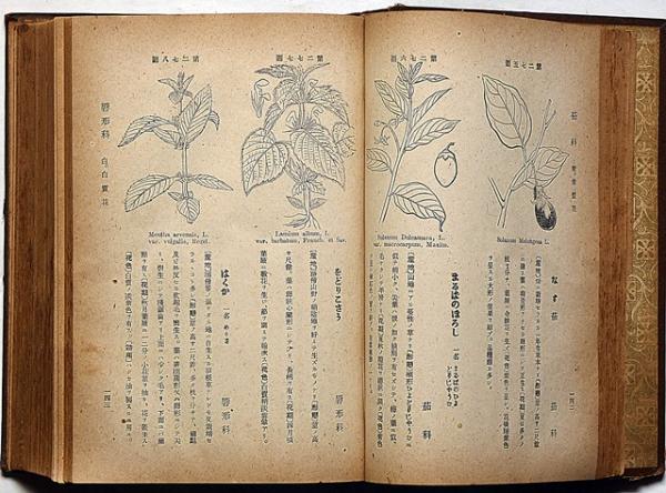 植物図鑑 牧野冨太郎校訂(牧野冨太郎校訂・東京博物学研究会編) / 古本