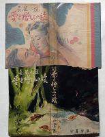 長篇小説　愛と憎しみの旅　