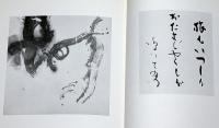 現代の書少字数の世界