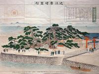 近江唐崎霊松　石版刷　「唐崎神社霊松縁起」
