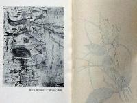 俳人が絵を描くまで　口絵・木版画2枚入り