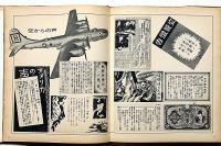 日本空襲・記録写真集