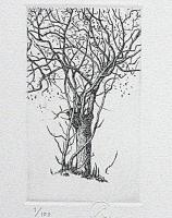 駒井哲郎版画作品集　限定Ｂ版