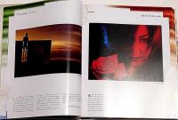 Venezia International Art Guide21・英文　（ヴェネチア国際芸術大全２１アトラス・日本ガイド）