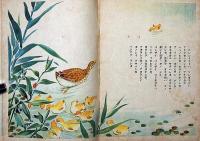 絵本　コガモノタビ　（藤澤龍雄・画・奈街三郎・文）