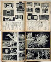 男のショッピング/男の海専科　2冊　平凡パンチデラックス別冊付録　昭和40年代頃