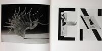 THE FUGITIVE GESTURE　ダンス写真の名品写真集