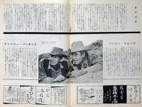 小型映画パンフ　胸に輝く星