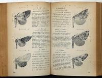日本昆虫図鑑＋索引　2冊