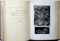 昆虫写真生態　Ⅰ　西ヶ原刊行会