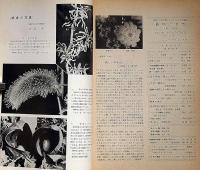 植物と自然　3冊　第1巻2号・5巻9号・7巻3号