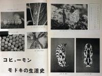 新昆蟲　昭和31年10月～32年8月不揃8冊　（採集特集号・いずも虫だより・白山採集記・鈴鹿山脈の好採集記ほか）