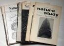 Nature Stude ネイチャ・スタディ(自然の科学）第150号～341号不揃22冊