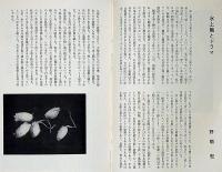 文学座パンフレット/1966　山襞　京都労演の半券付